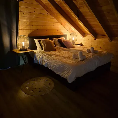 Forest Villa, Kaatsheuvel فيلة Loon op Zand