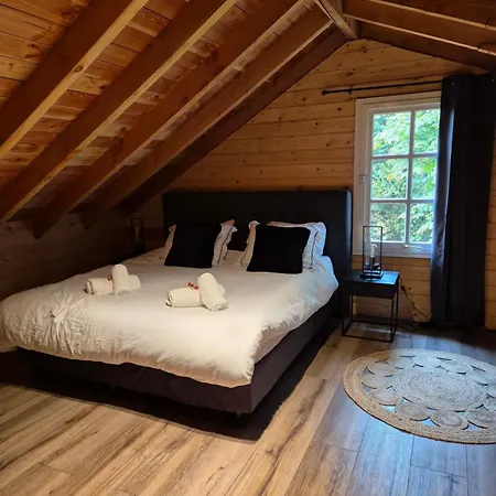 Forest Villa, Kaatsheuvel 别墅 *